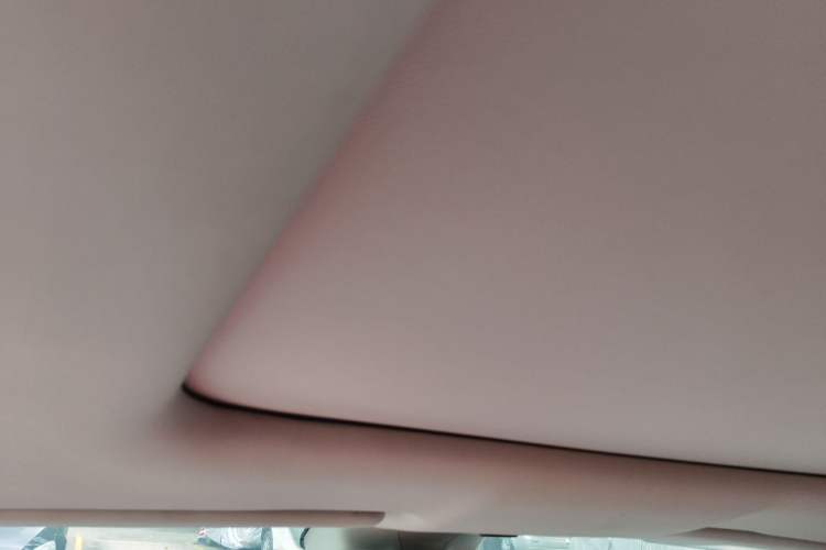 Used Leapmotor C11 2021 Deluxe Edition Headliner