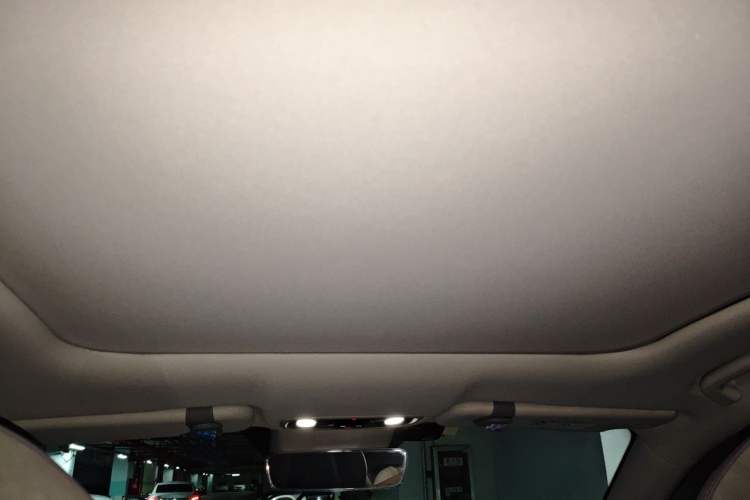 Used Leapmotor C11 2021 Deluxe Edition Headliner