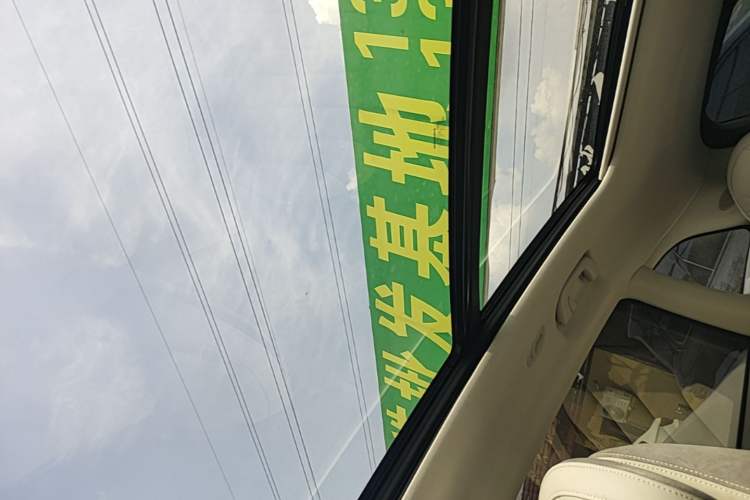Used Leapmotor C11 2021 Executive Edition 610 Headliner