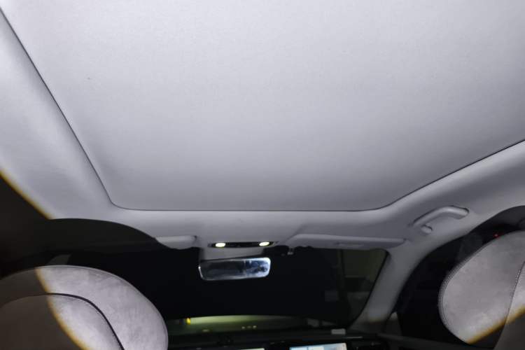 Used Leapmotor C11 2021 Zhixing Edition 510 Headliner