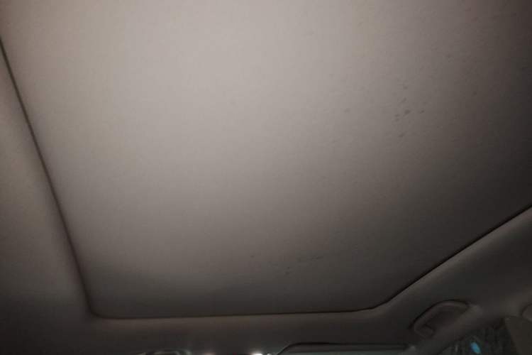 Used Leapmotor C11 2021 Deluxe Edition Headliner
