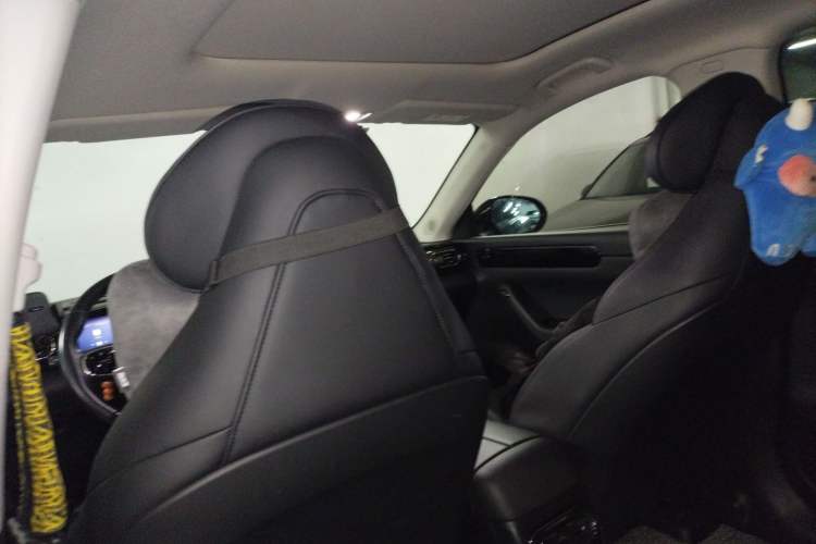 Used Leapmotor C11 2021 Deluxe Edition Headliner