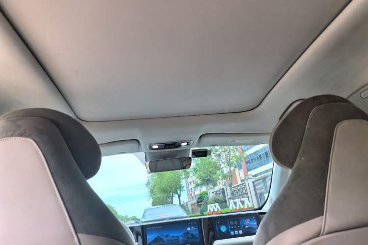 Used Leapmotor C11 2021 Luxury Edition Headliner
