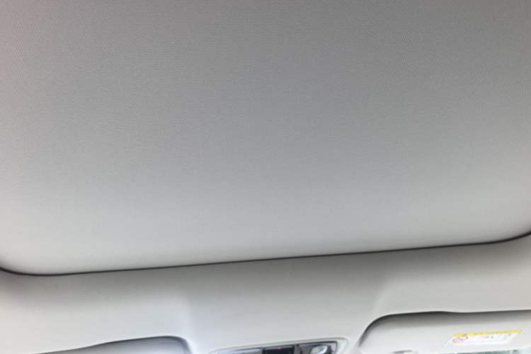 Used Leapmotor C11 2021 Luxury Edition Headliner