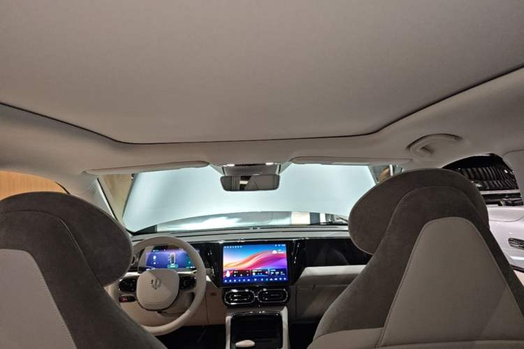 Used Leapmotor C11 2021 Performance Edition Headliner