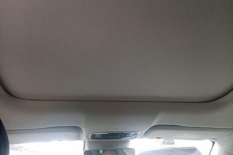 Used Leapmotor C11 2021 Luxury Edition Headliner