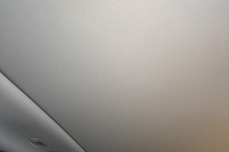 Used Leapmotor C11 2021 Performance Edition Headliner