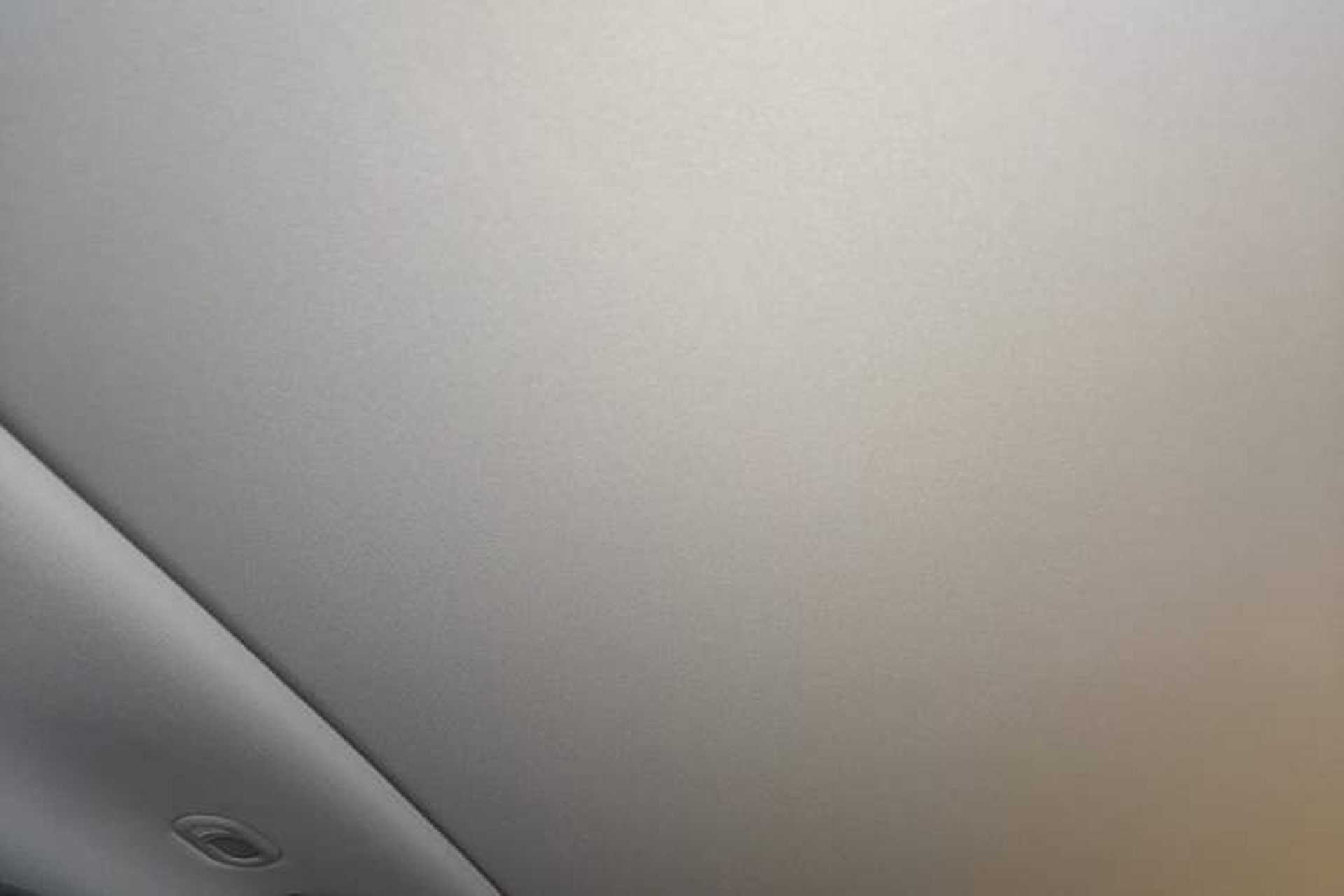 Used Leapmotor C11 2021 Performance Edition Headliner