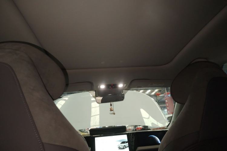 Used Leapmotor C11 2021 Luxury Edition Headliner