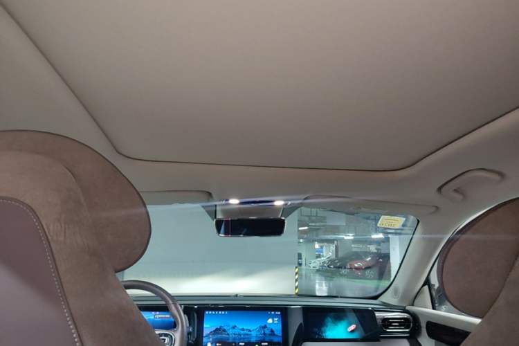 Used Leapmotor C11 2021 Deluxe Edition Headliner
