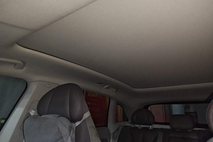 Used Leapmotor C11 2021 Luxury Edition Headliner