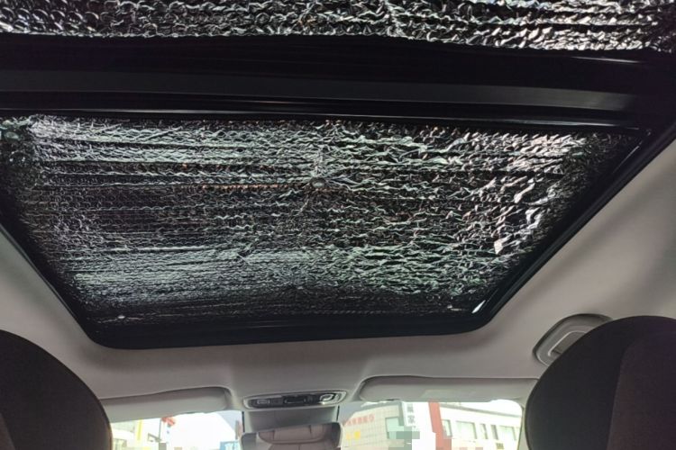 Used Leapmotor C11 2021 Revised Version Luxury Edition Headliner