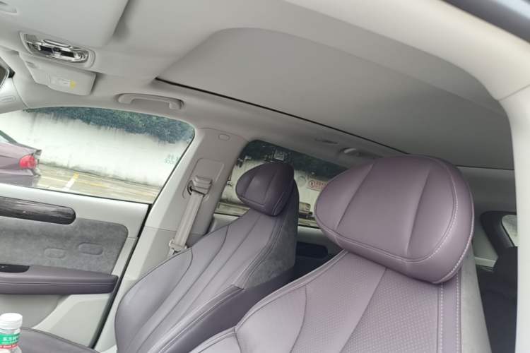 Used Leapmotor C11 2021 Deluxe Edition Headliner