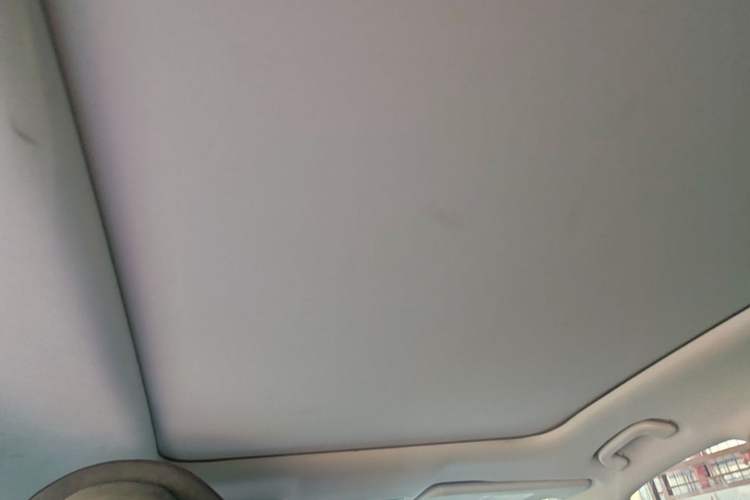 Used Leapmotor C11 2021 Executive Edition 610 Headliner