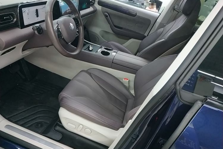 Used Leapmotor C11 2021 Revised Version Luxury Edition Left Front Seat