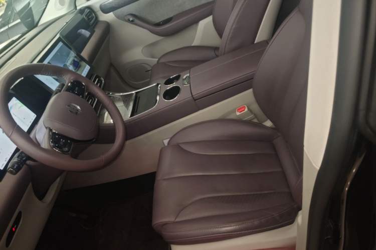 Used Leapmotor C11 2021 Luxury Edition Left Front Seat