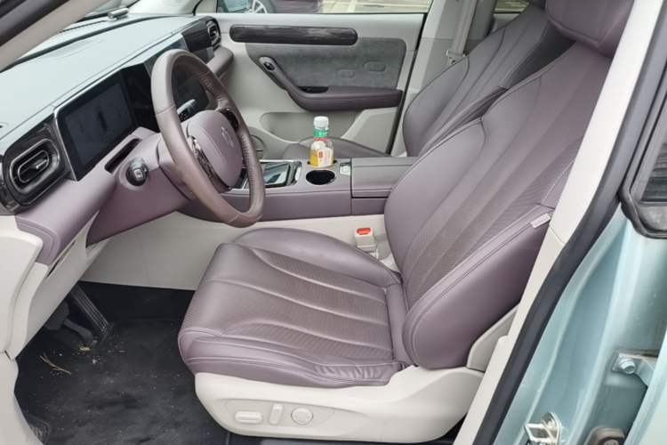 Used Leapmotor C11 2021 Deluxe Edition Left Front Seat
