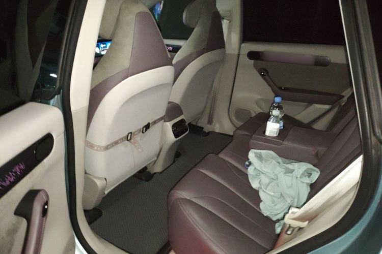 Used Leapmotor C11 2021 Deluxe Edition Left Rear Seat