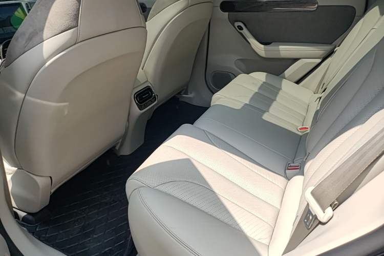 Used Leapmotor C11 2021 Executive Edition 610 Left Rear Seat