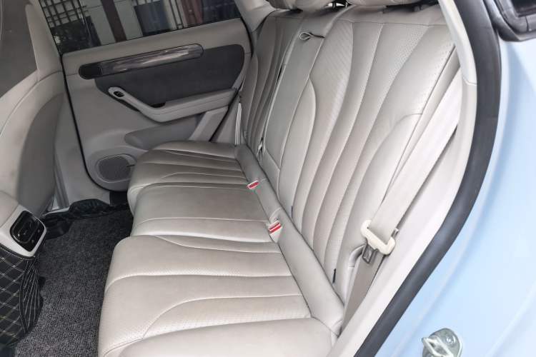 Used Leapmotor C11 2021 Luxury Edition Left Rear Seat
