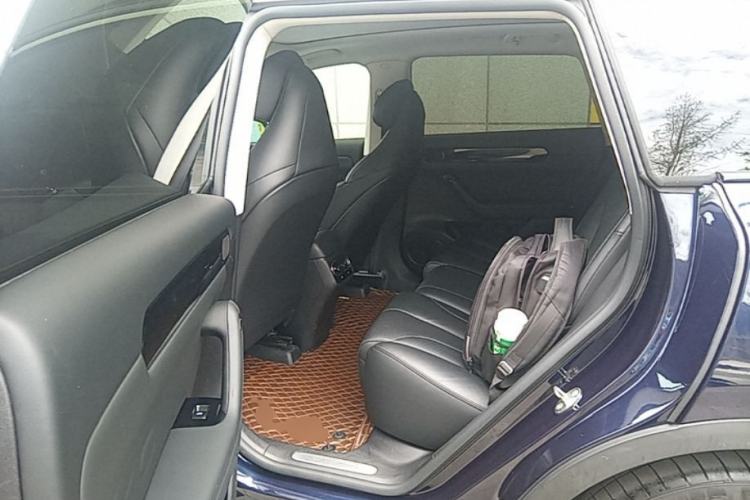 Used Leapmotor C11 2021 Luxury Edition Left Rear Seat