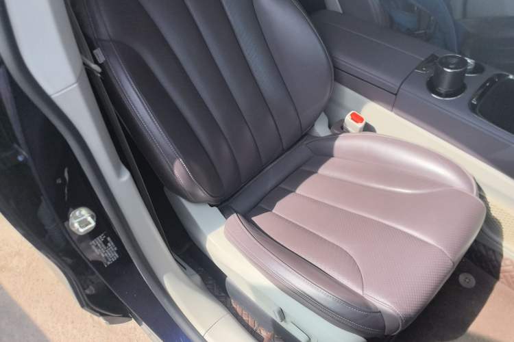 Used Leapmotor C11 2021 Revised Version Luxury Edition Right Front Seat