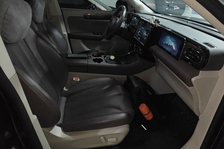 Used Leapmotor C11 2021 Luxury Edition Right Front Seat
