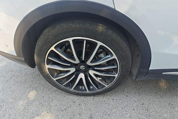 Used Leapmotor C11 2021 Executive Edition 610 Right Rear Wheel Hub