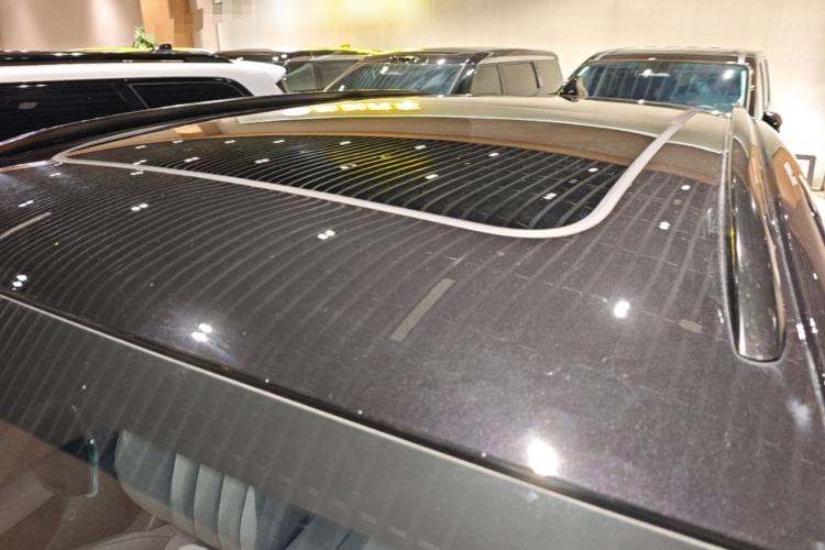 Used Leapmotor C11 2021 Performance Edition Roof