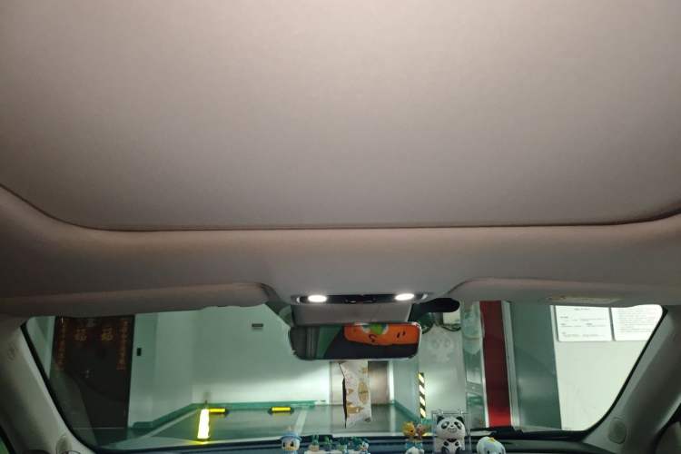 Used Leapmotor C11 2021 Deluxe Edition Headliner