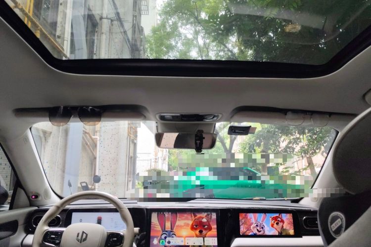 Used Leapmotor C11 2021 Performance Edition Headliner