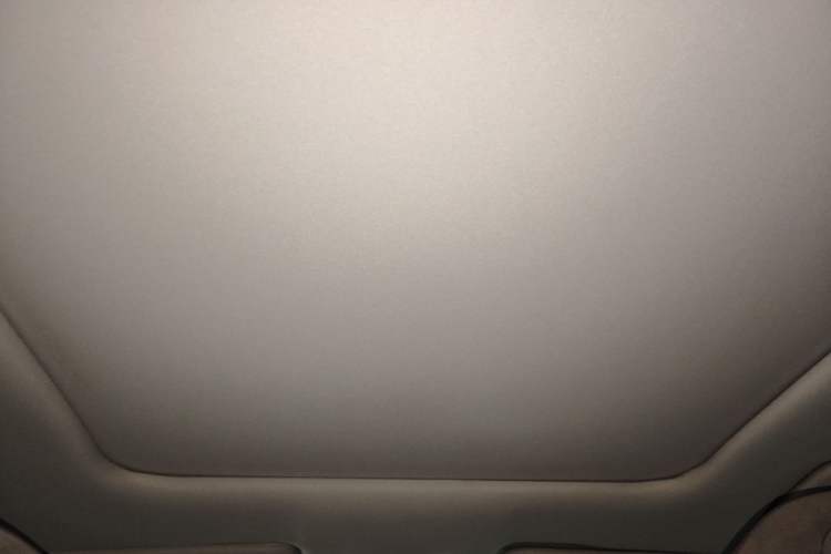 Used Leapmotor C11 2021 Deluxe Edition Headliner