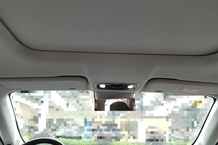 Used Leapmotor C11 2021 Deluxe Edition Headliner
