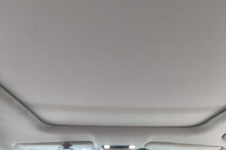 Used Leapmotor C11 2021 Revised Version Luxury Edition Headliner