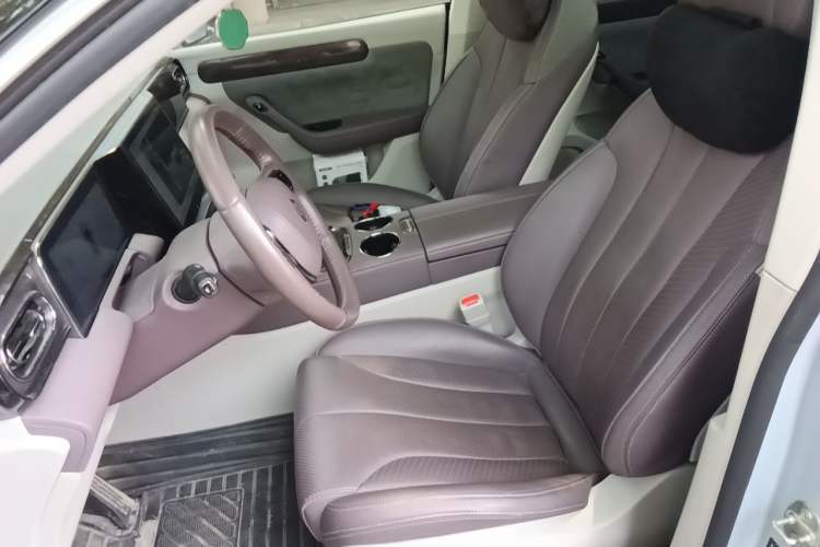 Used Leapmotor C11 2021 Luxury Edition Left Front Seat