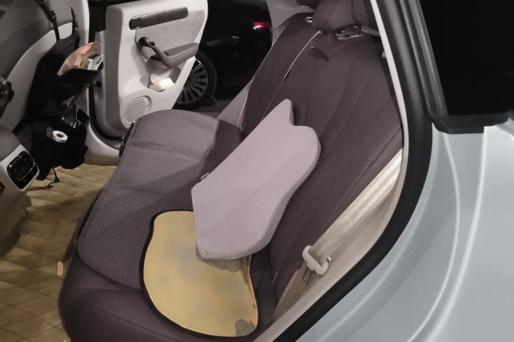 Used Leapmotor C11 2021 Luxury Edition Left Rear Seat