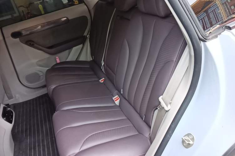 Used Leapmotor C11 2021 Luxury Edition Left Rear Seat