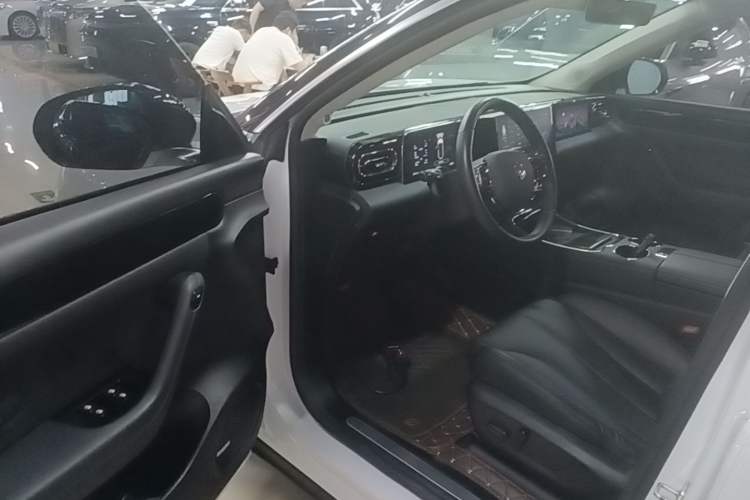 Used Leapmotor C11 2021 Luxury Edition Driver Seat