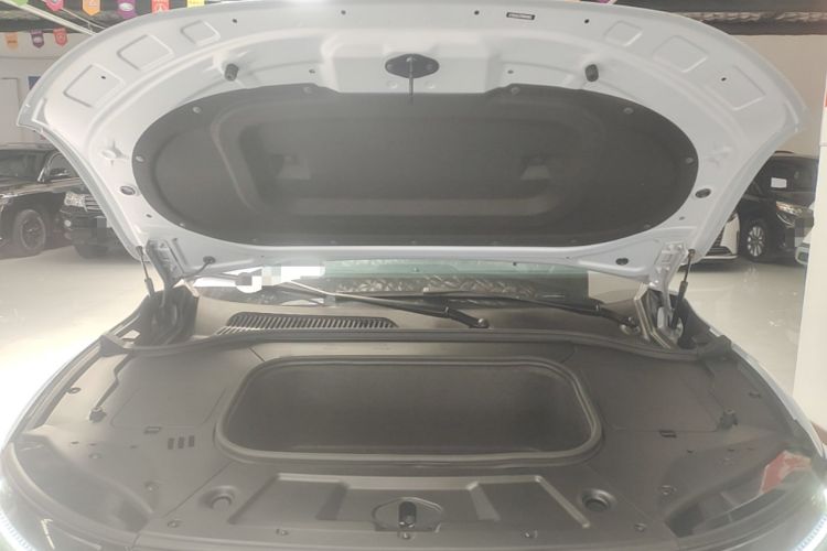 Used Leapmotor C11 2021 Zhixing Edition 510 Engine Bay
