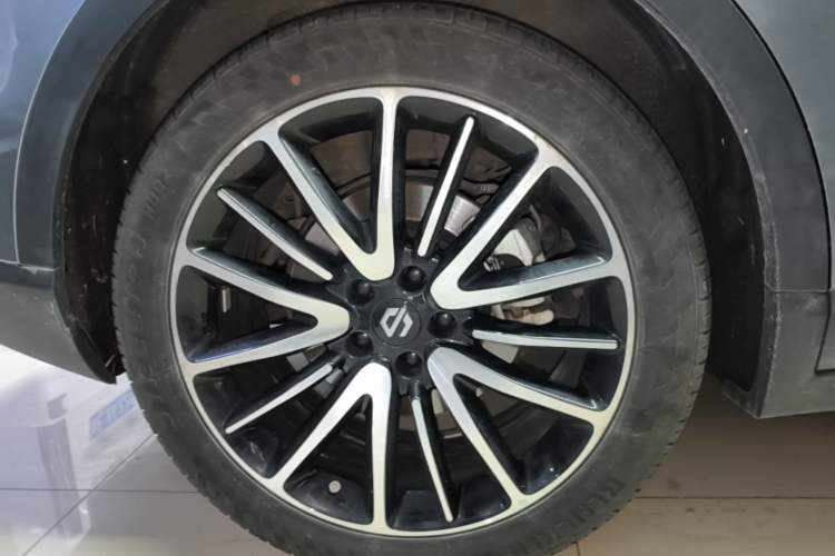 Used Leapmotor C11 2021 Luxury Edition Exterior 5