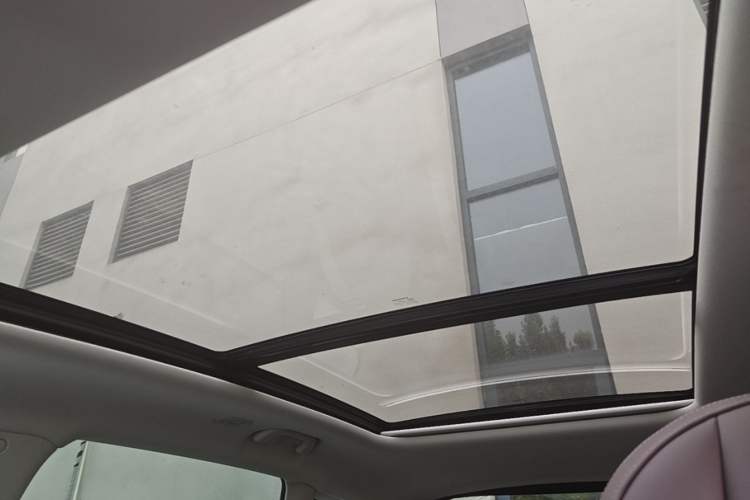 Used Leapmotor C11 2021 Revised Version Luxury Edition Headliner