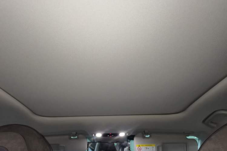 Used Leapmotor C11 2021 Luxury Edition Headliner