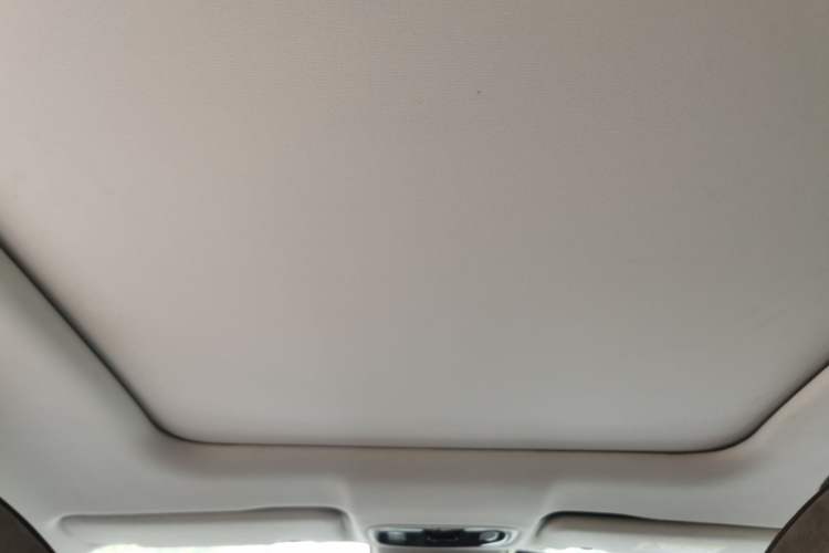 Used Leapmotor C11 2021 Luxury Edition Headliner