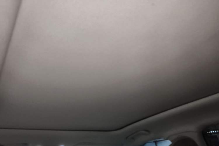 Used Leapmotor C11 2021 Deluxe Edition Headliner