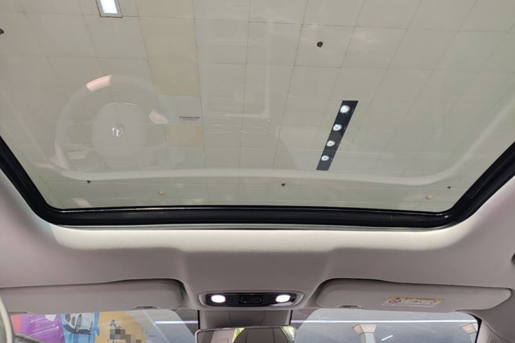 Used Leapmotor C11 2021 Deluxe Edition Headliner