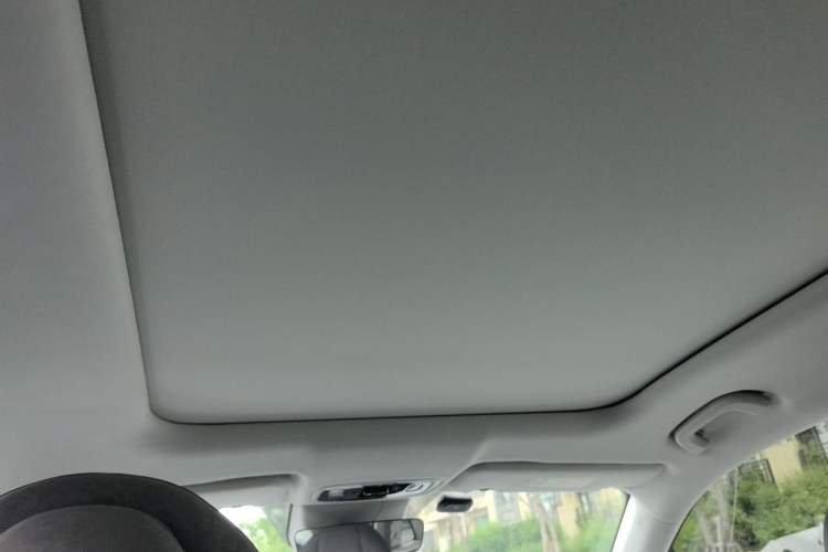 Used Leapmotor C11 2021 Zhixing Edition 510 Headliner