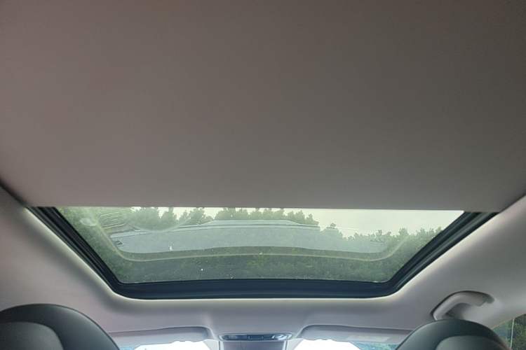 Used Leapmotor C11 2021 Revised Version Luxury Edition Headliner