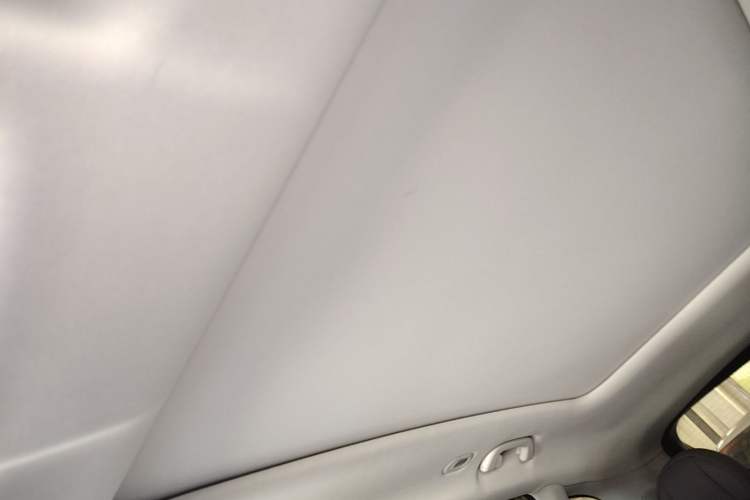 Used Leapmotor C11 2021 Deluxe Edition Headliner