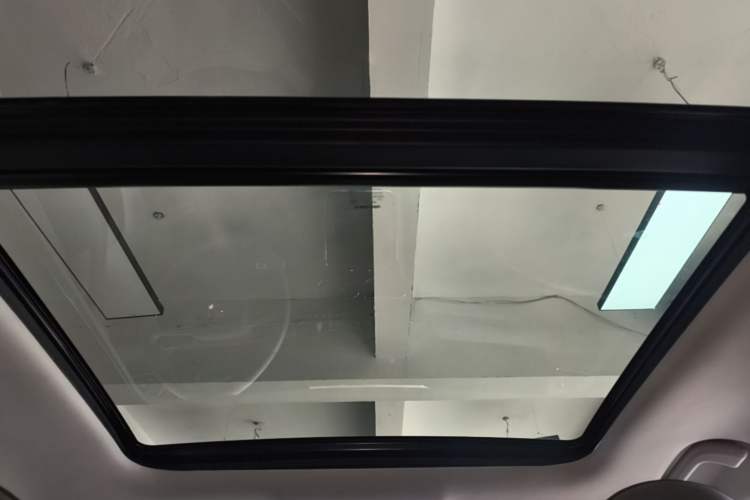 Used Leapmotor C11 2021 Luxury Edition Headliner
