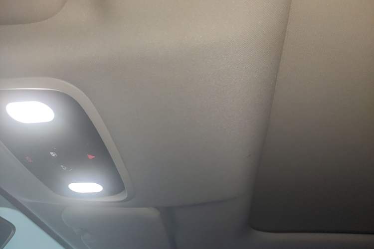 Used Leapmotor C11 2021 Deluxe Edition Headliner